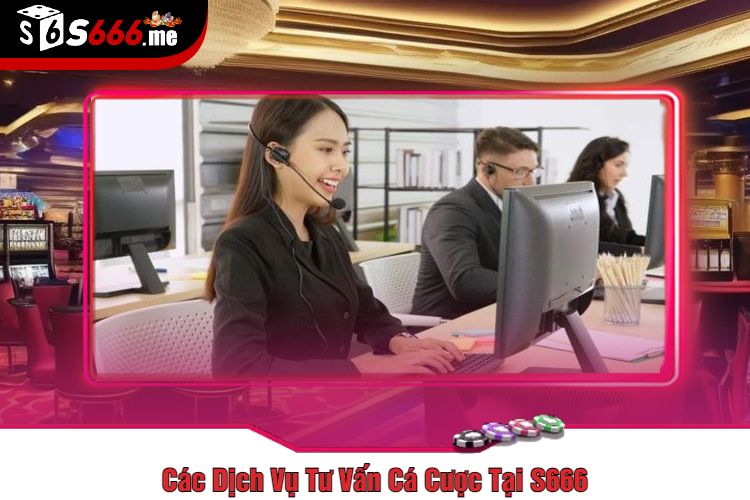 Các Dịch Vụ Tư Vấn Cá Cược Tại S666