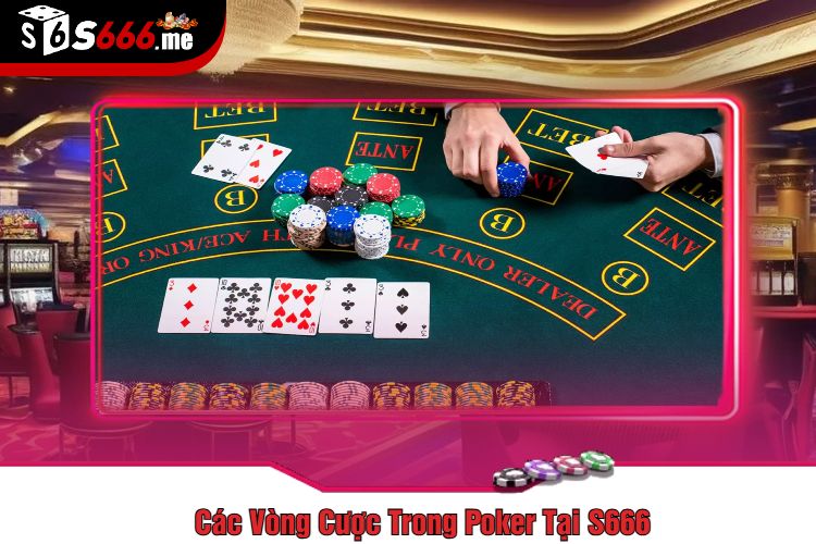 Các Vòng Cược Trong Poker Tại S666