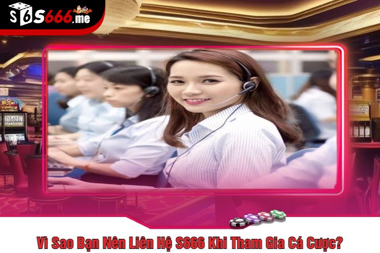 Vì Sao Bạn Nên Liên Hệ S666 Khi Tham Gia Cá Cược